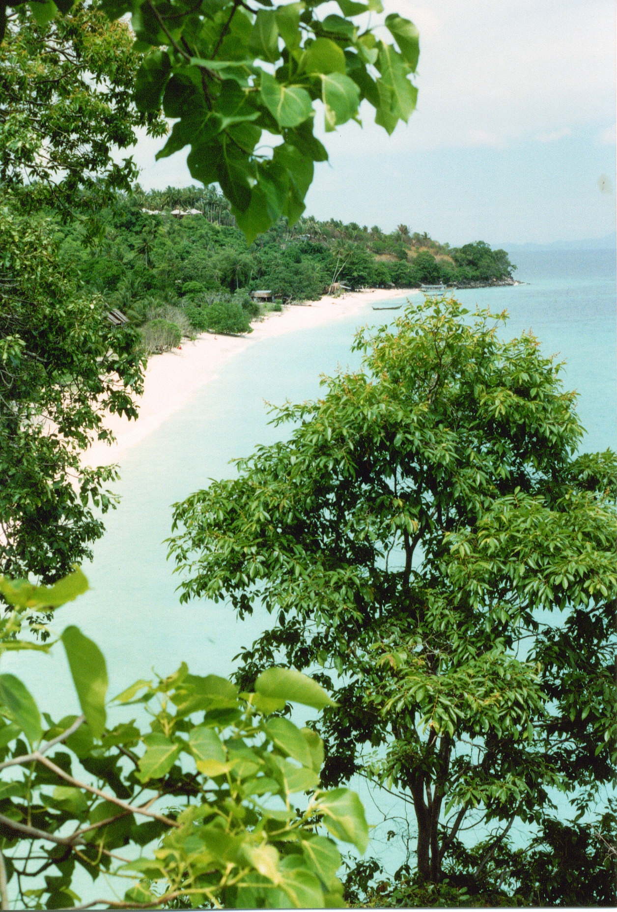 Phee Phee Island